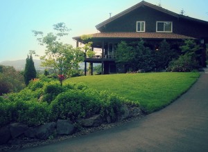 well groomed yard due to portland landscaping with northwest arbor culture