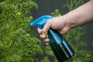 Spray Compost Tea Bottle NW Arbor Portland