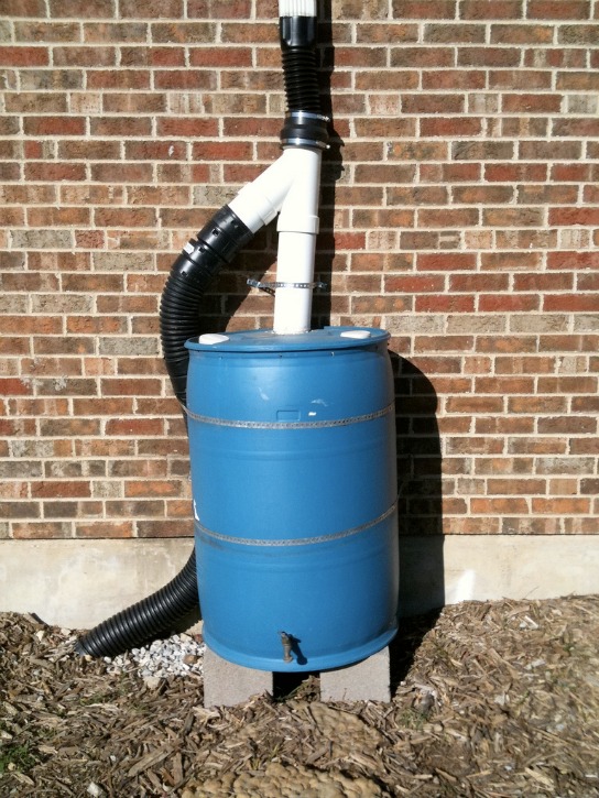 rain barrel